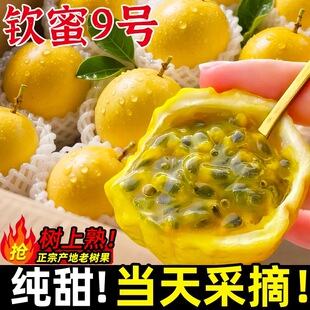 【平晏果园】正宗钦蜜9号黄金百香果 3斤