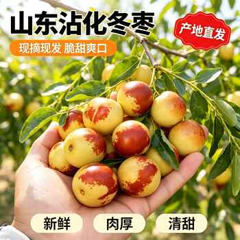 正宗山东沾化冬枣脆甜当季鲜果源头整箱包邮产地直发清脆爽口实付11.5元到手包邮