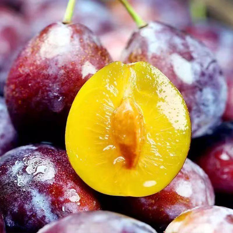 现货 智利西梅大果甜李子新鲜水果孕妇法兰西西梅当季批发包邮,淘宝优惠券,粉丝福利购,淘宝优惠卷