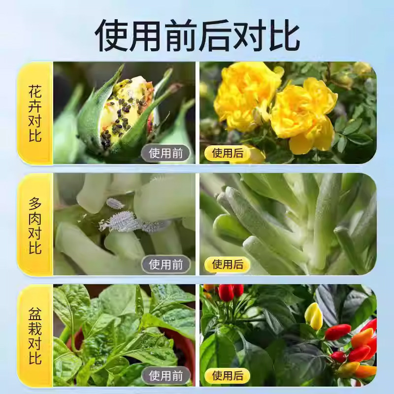 百虫清花卉绿植蔬菜通用多肉除虫剂盆栽月季蚜虫介壳虫红蜘蛛养花