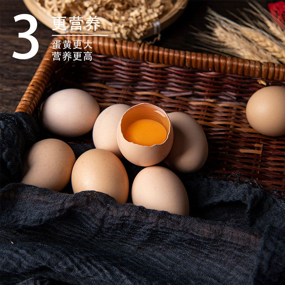 河南农家土鸡蛋现捡现发生态散养自然谷物蛋健康早餐首选农场,淘宝优惠券,粉丝福利购,淘宝优惠卷