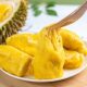 Thai Musang King durian shellless pulp head frozen durian fresh fruit commercial wholesale special offer commercial