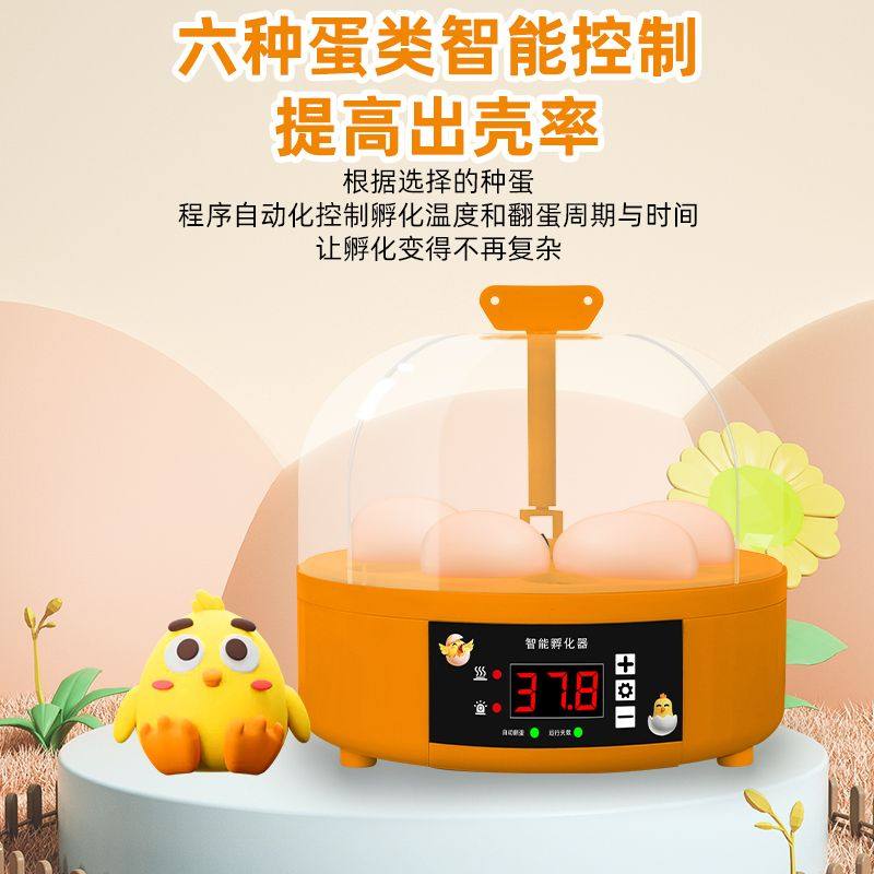 孵化器小型家用全自动智能儿童孵蛋器鹦鹉芦丁鸡小鸟蛋孵化箱小鸡,淘宝优惠券,粉丝福利购,淘宝优惠卷