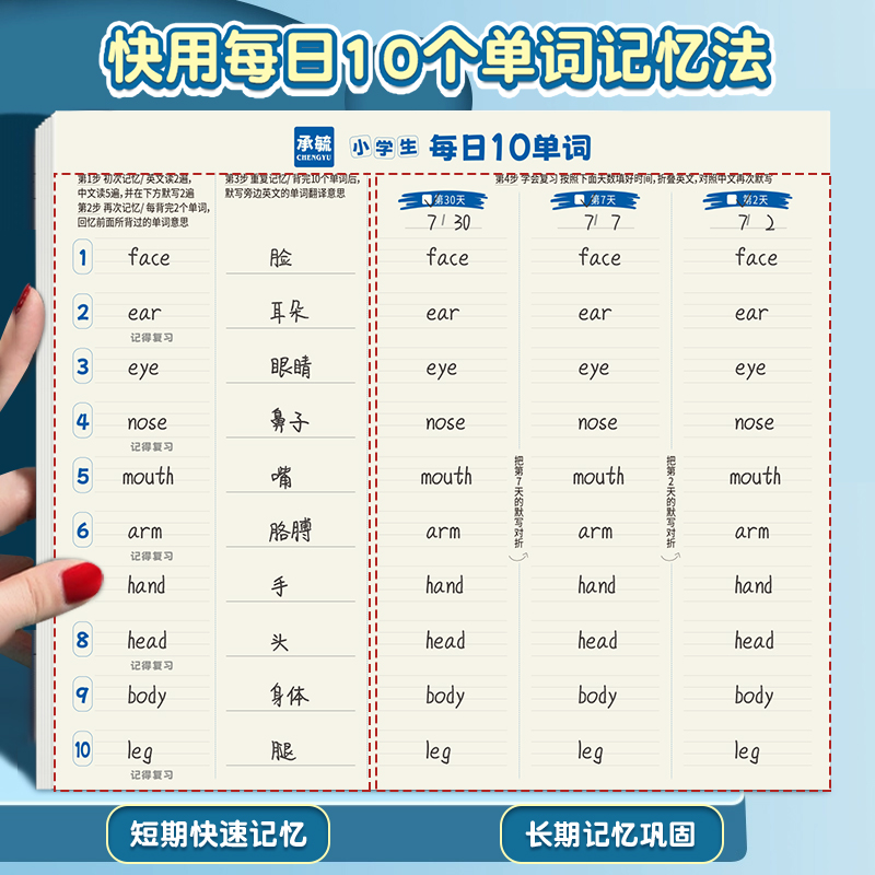 小学生单词速记本初中pep记单词本英文记背单词记录本小学英语每日10词艾宾浩斯曲线默写纸汉语高中学校词汇 - 图1