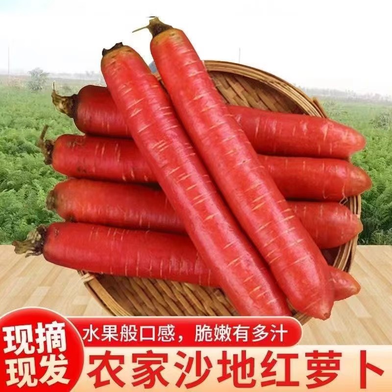农家自种陕西水果红萝卜红心甜脆生吃水果型新鲜胡萝卜沙地蔬菜10 - 图0