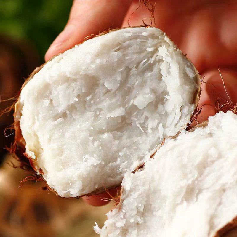 山东芋头牛奶小芋头新鲜毛芋头现挖奶油芋艿软糯丝滑当季蔬菜,淘宝优惠券,粉丝福利购,淘宝优惠卷