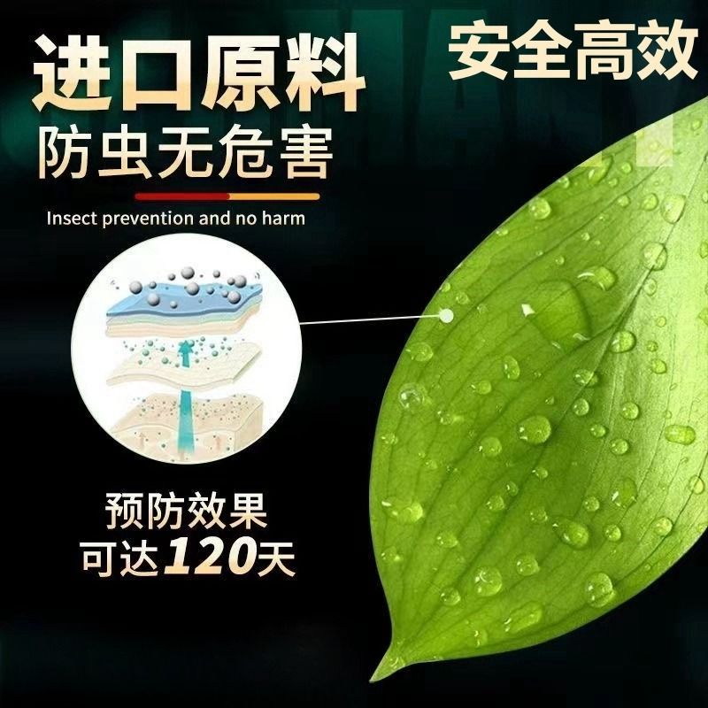 【英国专研】园艺防虫片防小黑虫飞蚜虫白粉虱菜蛾飞虫花卉驱虫片 - 图0