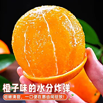 正宗赣南脐橙赣4.5斤(70mm+)[1元优惠券]-寻折猪