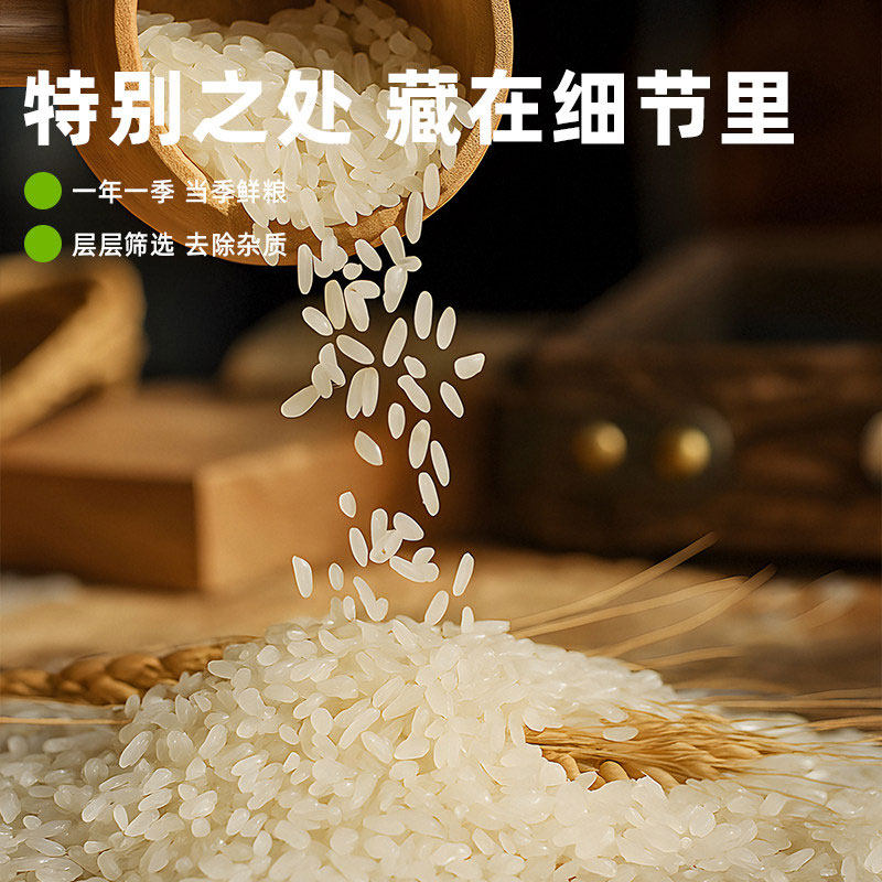 【芭芭农场兑换专享】东北长粒香米3斤当季新米