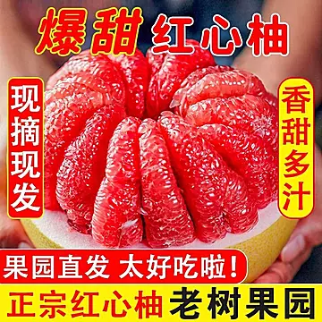 金币到手8.9平和红心柚5斤[1元优惠券]-寻折猪