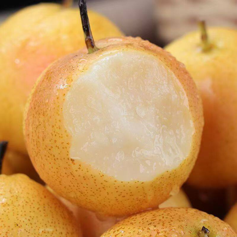 鞍山南果梨海城南果梨东北特产新鲜采摘,淘宝优惠券,粉丝福利购,淘宝优惠卷