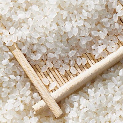 藤岛町苏北大米当季新米5斤软糯香甜产地直发粳米珍珠米黑土地种