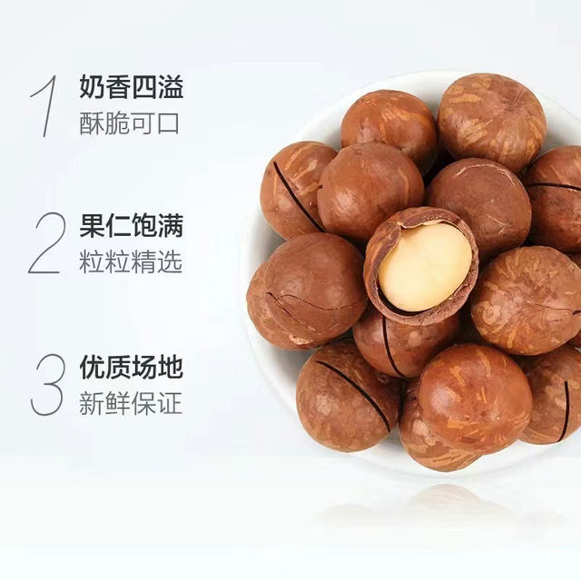 New arrivals of milk-flavored macadamia nuts, bagged nut snacks, snacks, roasted nuts, dried fruits, new year goods, ready-to-eat fried nuts