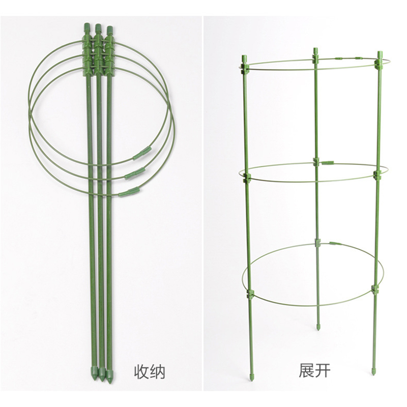 花架爬藤架子蟹爪兰太阳花支架植物嫁接支撑杆绿萝月季攀爬架-图2