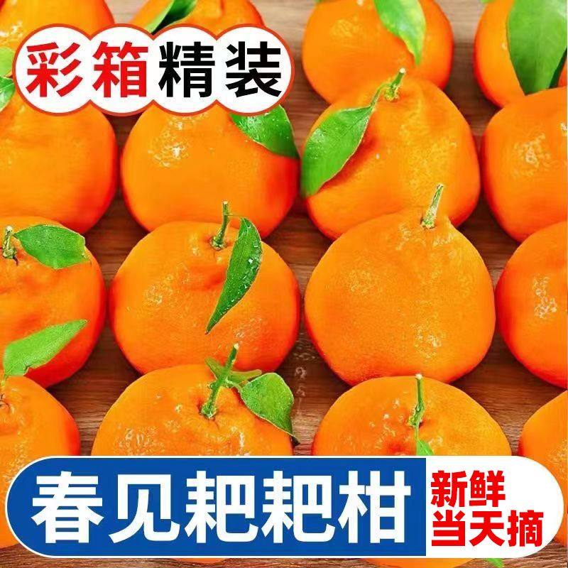 B地标授权正宗四川眉山耙耙柑新鲜水果丑橘粑粑柑现摘发货当丑橘,淘宝优惠券,粉丝福利购,淘宝优惠卷