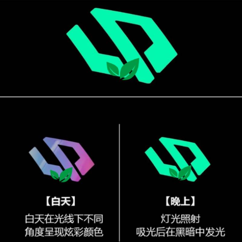 适用零跑C01C10C11C16T03车标装饰改装贴炫彩夜光个性贴汽车用品 - 图0
