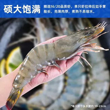 超便宜！龙霸特大黑虎虾2斤装[38元优惠券]-寻折猪