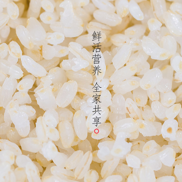2025 New Rice Organic Germ Rice for Infants and Young Children