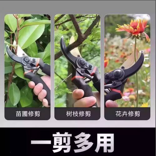 园艺修枝剪专业级工艺艺园剪刀剪枝条果树专用高效省力果林花园剪 - 图0