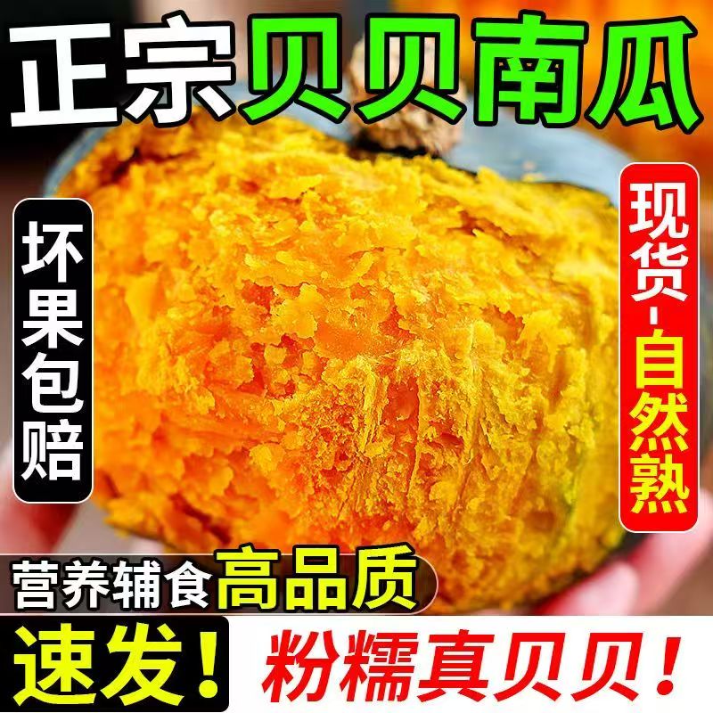 正宗贝贝南瓜300g+大果【净重4.5斤】