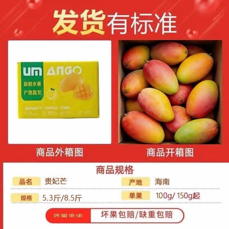 海南贵妃芒树上熟三亚芒果当季新鲜水果自然成熟特大果辣椒芒