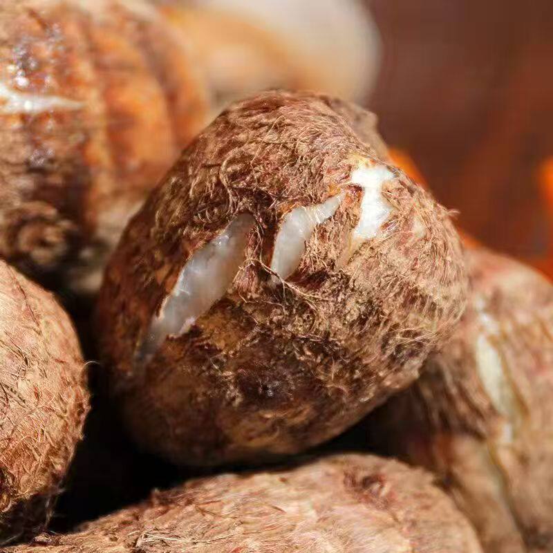 山东新鲜现挖农家牛奶小芋头软糯香滑芋子芋艿香芋毛芋头5斤包邮