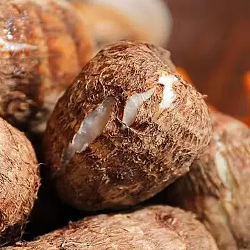 下拉金币13.66！山东新鲜现挖牛奶小芋头5斤