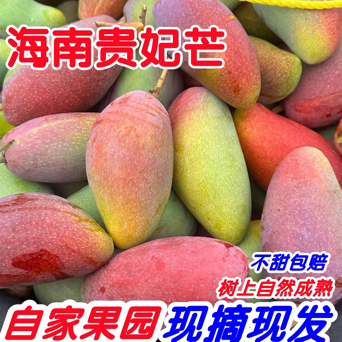 海南贵妃芒5斤树上熟芒果三亚特产当季新鲜水果自然熟特大果现摘