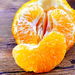 四川眉山春见耙耙柑4.5斤