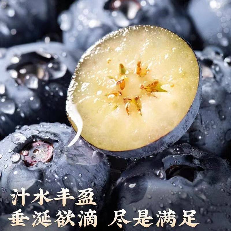 云南高山蓝莓鲜果新鲜水果当季怡颗蓝莓高山L25花香现摘整箱包邮,淘宝优惠券,粉丝福利购,淘宝优惠卷