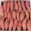 11.9!农家现挖沙地龙九黄心蜜薯5斤