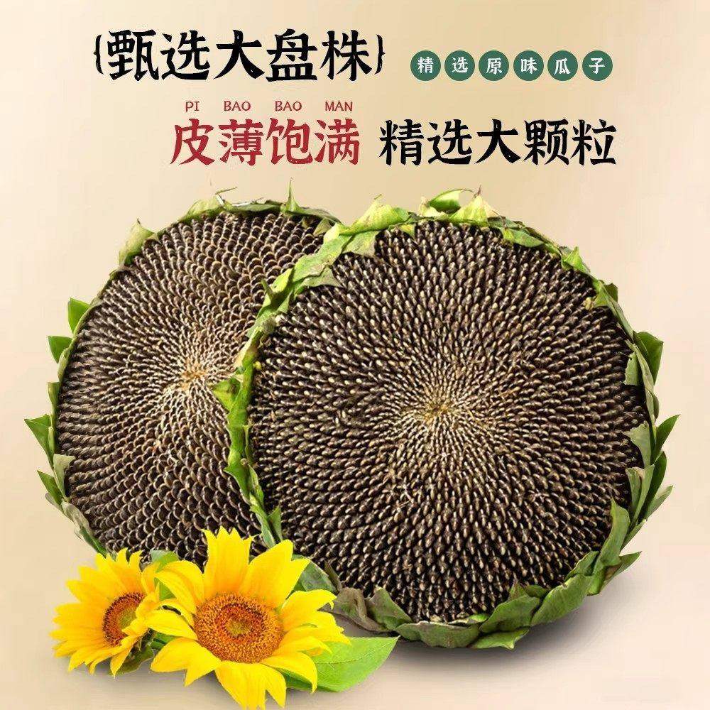 原味瓜子2025新货生瓜子葵花籽炒熟大颗粒零食批发5斤装葵花子,淘宝优惠券,粉丝福利购,淘宝优惠卷