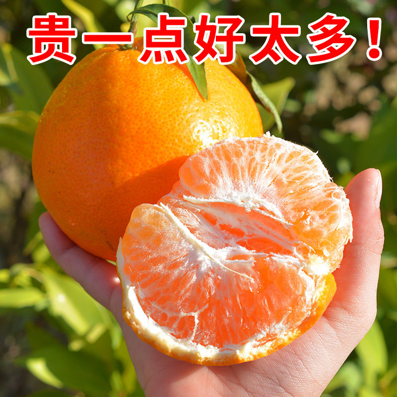 正宗四川春见耙耙柑爆甜粑粑柑新鲜孕妇水果当季整箱柑橘子蜜桔子,淘宝优惠券,粉丝福利购,淘宝优惠卷