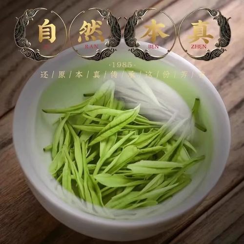 白茶安吉2025新茶高山珍稀口粮绿茶明前正宗特级茶叶自己喝袋装 - 图0