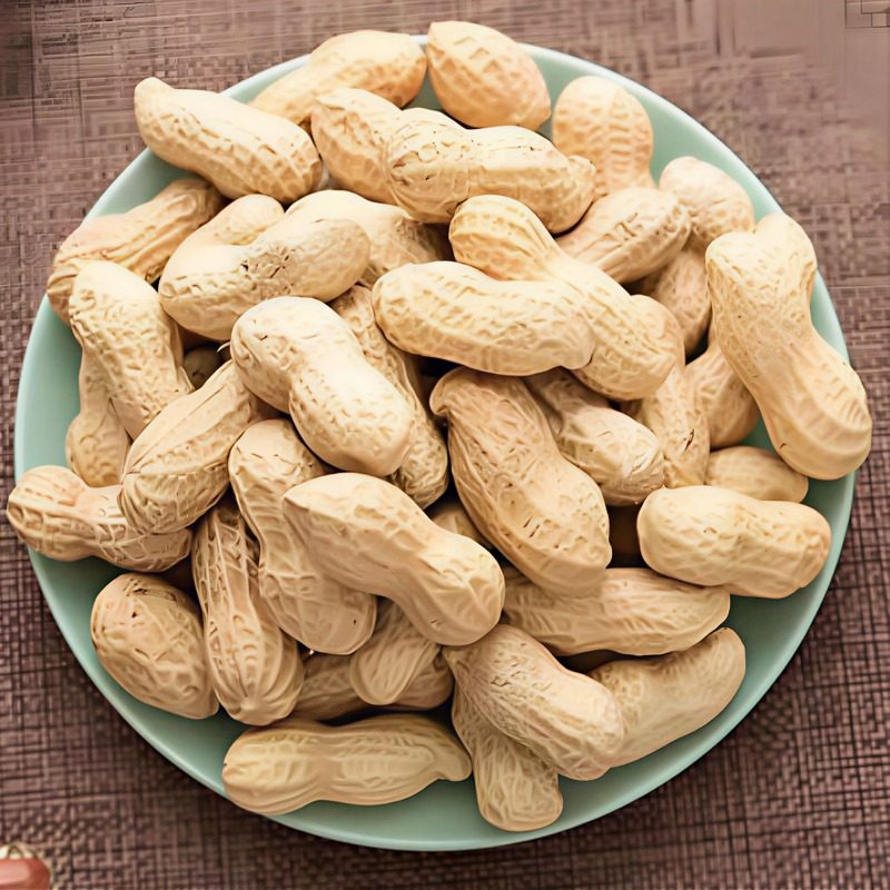 2025年带壳新货红皮花生果农家自种原味生花生米自然晒干生四粒红,淘宝优惠券,粉丝福利购,淘宝优惠卷