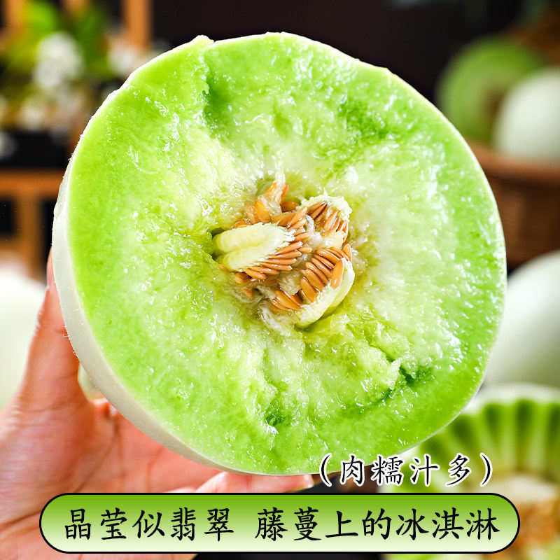 山东单县   玉菇甜瓜冰淇淋蜜瓜新鲜水果羊角密瓜口感佳甜度高