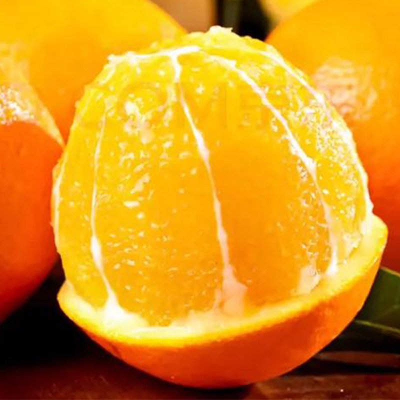 江西赣南脐橙新鲜橙子净重4.5斤
