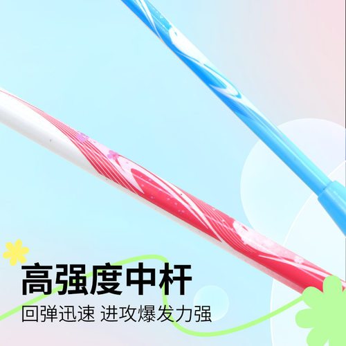 PEAK/匹克羽毛球拍专业级单双拍套装超轻初学者成人专业耐打训练 - 图2