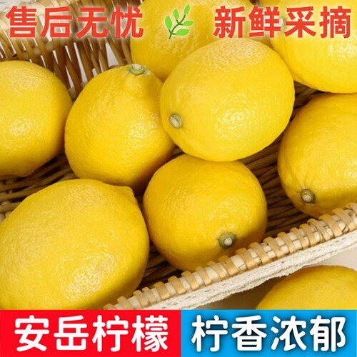 四川安岳黄柠檬新鲜水果当季整箱奶茶店商用皮薄汁多酸甜青香特产 - 图3