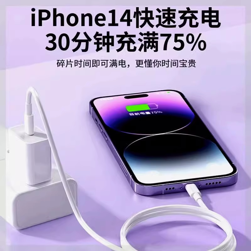 适用苹果双接口充电器充电头PD45W双口iPhone17快充线快充头16/15Promax手机14数据线30瓦二合一原封正品 - 图0