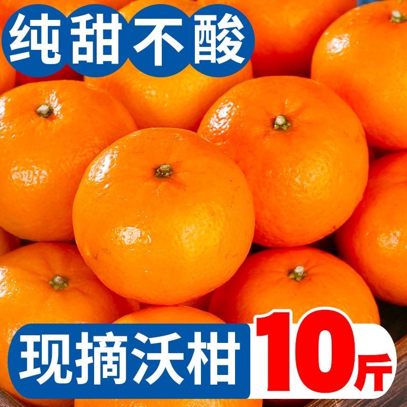 广西武鸣沃柑现摘大果沃柑8.5斤柑橘桔子柑爆汁水果脏脏柑好吃