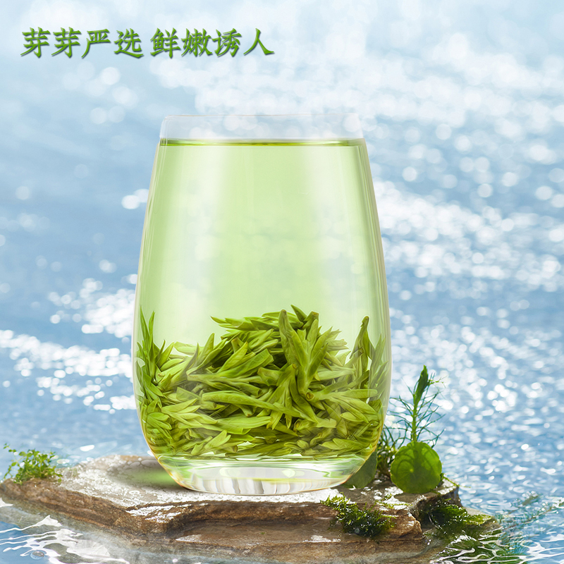 2024新茶明前龙井茶绿茶高山嫩芽春茶500g茶叶一级送礼浓香袋装 - 图1