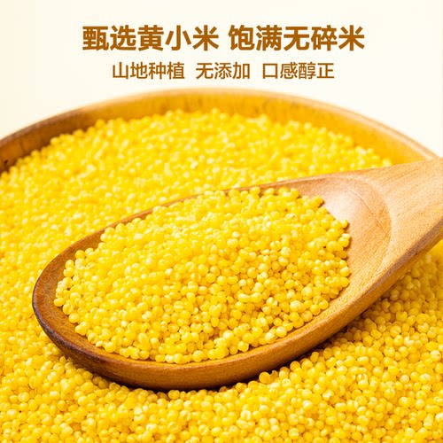 米益康陕北米脂黄小米新米厚煮粥杂粮米5斤粗粮小包装食用养胃 - 图0