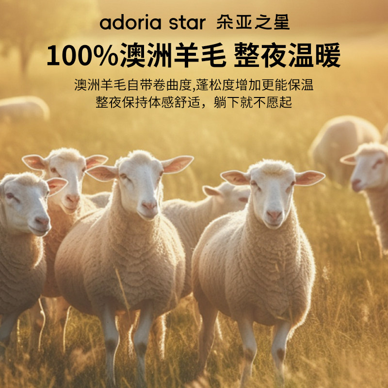 朵亚之星羊毛被澳洲进口100%纯羊毛冬被加厚保暖被子被芯春秋被,淘宝优惠券,粉丝福利购,淘宝优惠卷