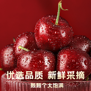 山东烟台美早大樱桃国产车厘子2斤