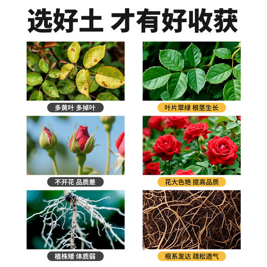 Nutrient soil, general purpose flower soil for flower cultivation