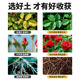 Nutrient soil, general purpose flower soil for flower cultivation