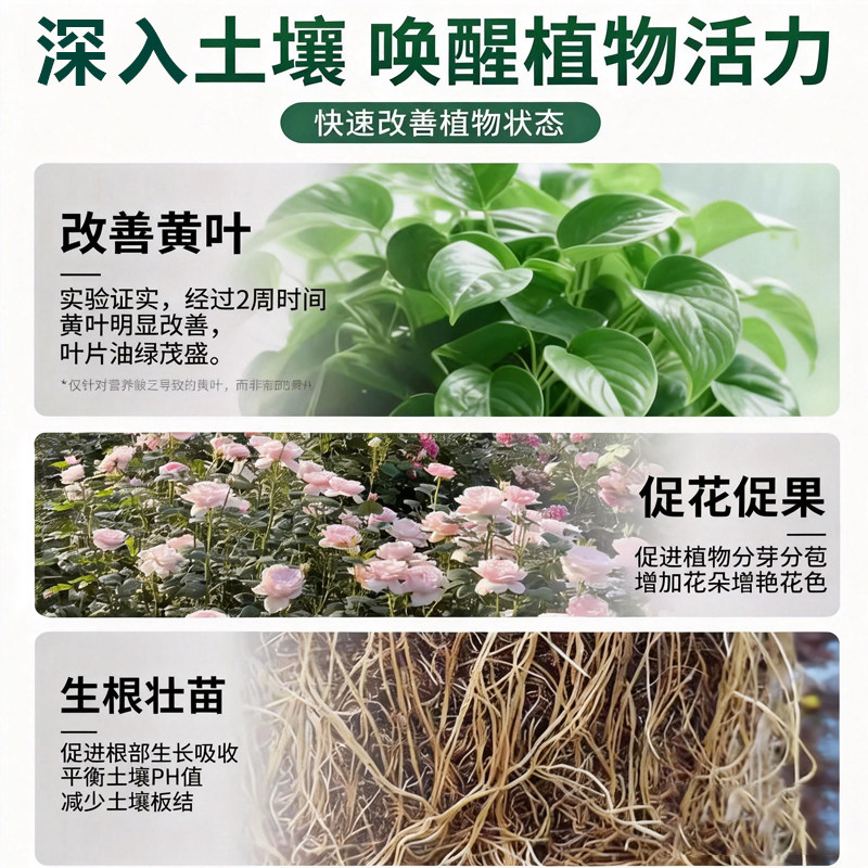 营养液植物通用型家用绿植花卉发财树富贵竹浓缩肥料室内开花黄叶,淘宝优惠券,粉丝福利购,淘宝优惠卷
