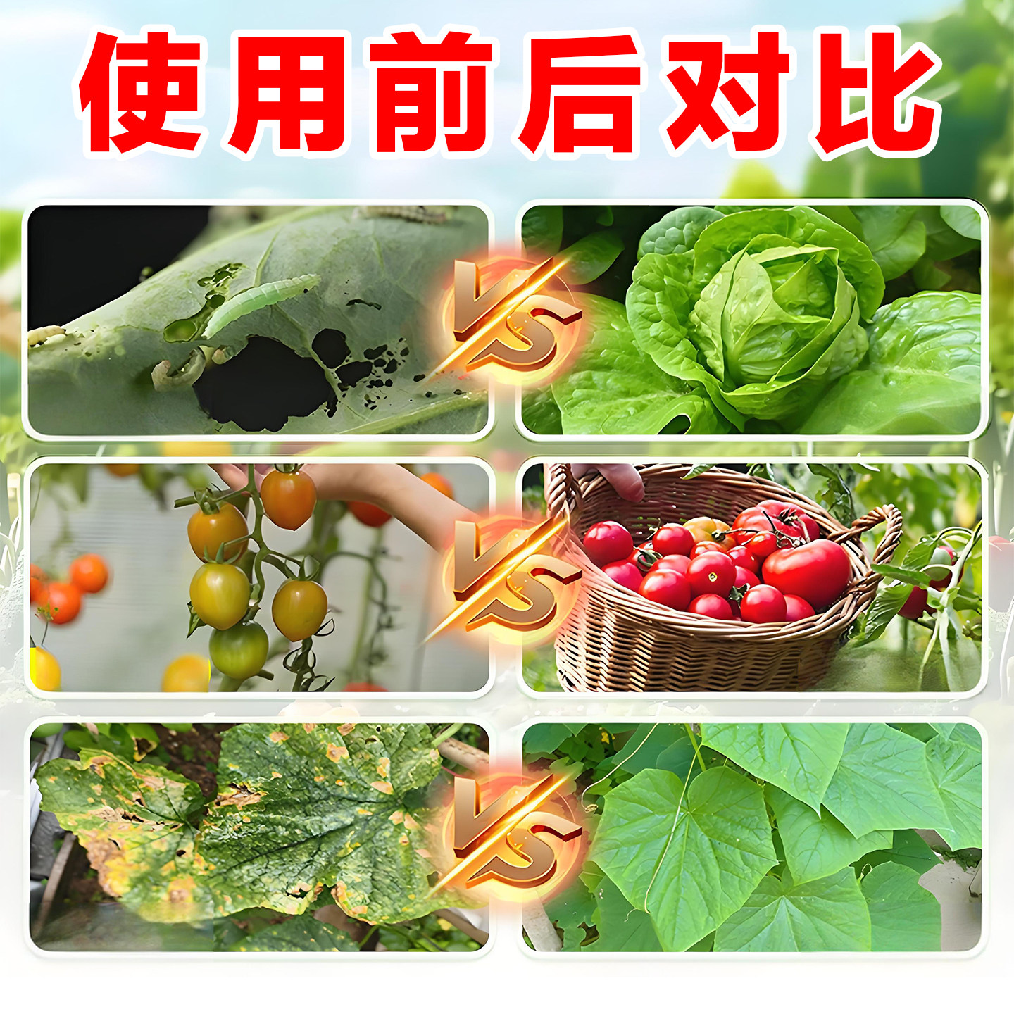 农用小苏打除虫杀菌增产种菜叶面肥碳酸氢钠农作物花卉蔬菜果树,淘宝优惠券,粉丝福利购,淘宝优惠卷