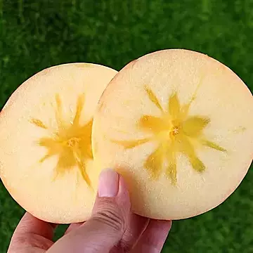 高山红富士苹果净重4.5斤[1元优惠券]-寻折猪